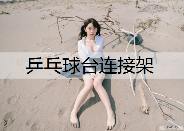 乒乓球台连接架