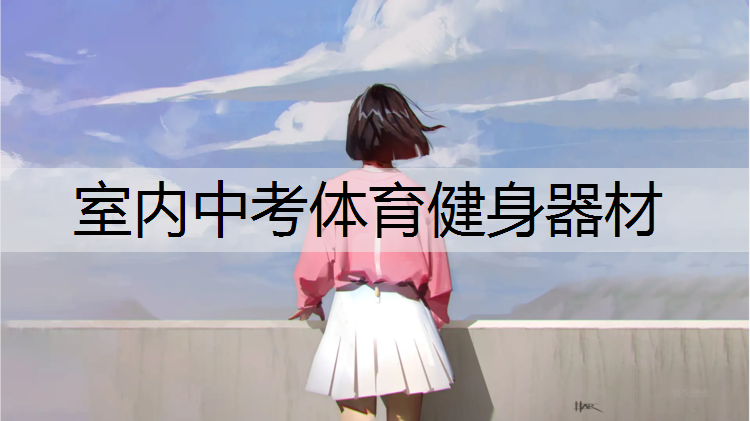 室内中考体育健身器材