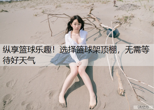 纵享篮球乐趣！选择篮球架顶棚，无需等待好天气