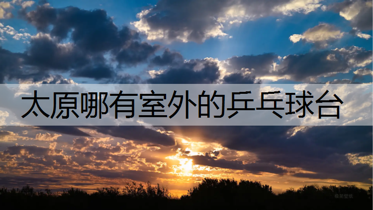 太原哪有室外的乒乓球台