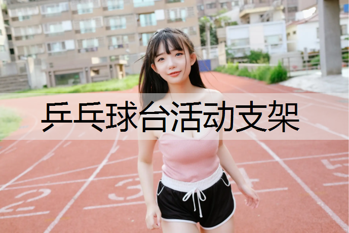 乒乓球台活动支架