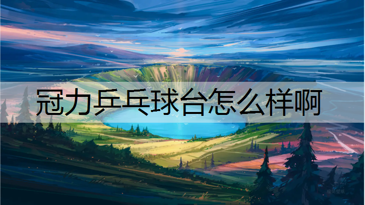 冠力乒乓球台怎么样啊