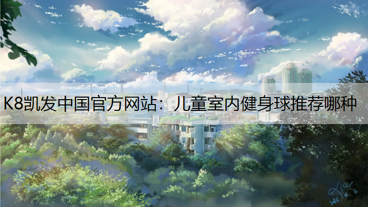 儿童室内健身球推荐哪种