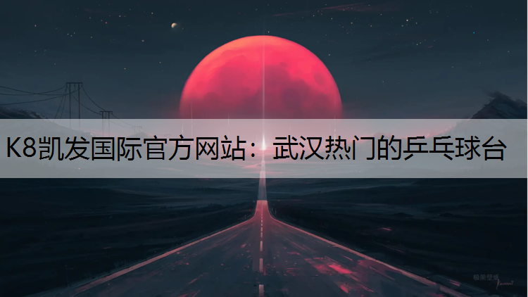 武汉热门的乒乓球台