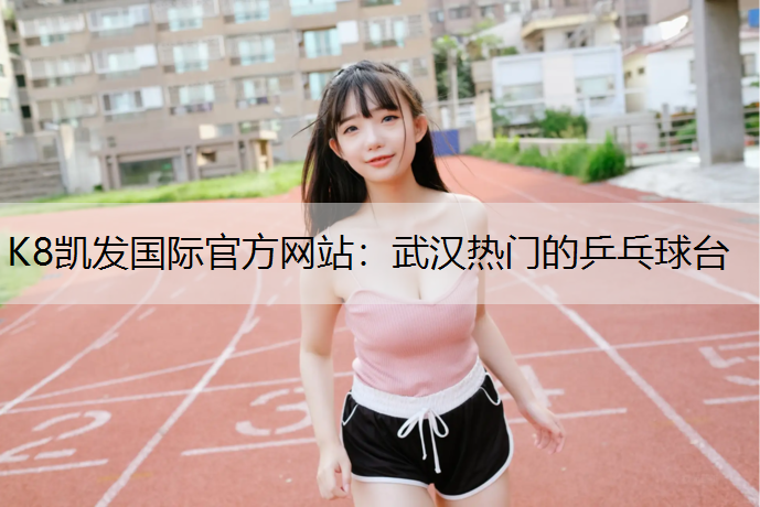 武汉热门的乒乓球台