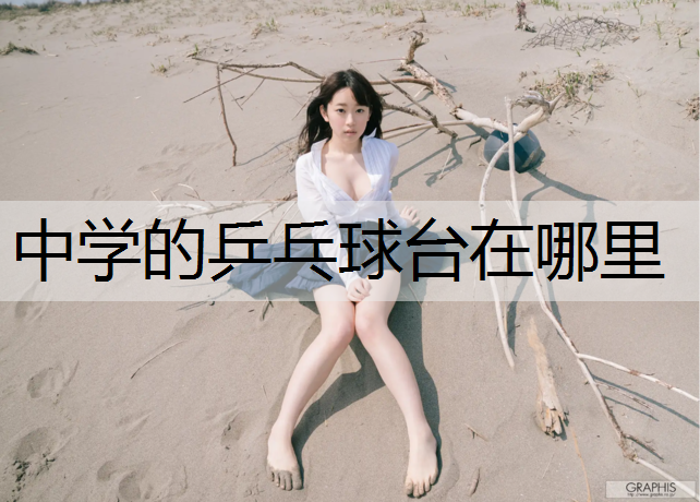 中学的乒乓球台在哪里